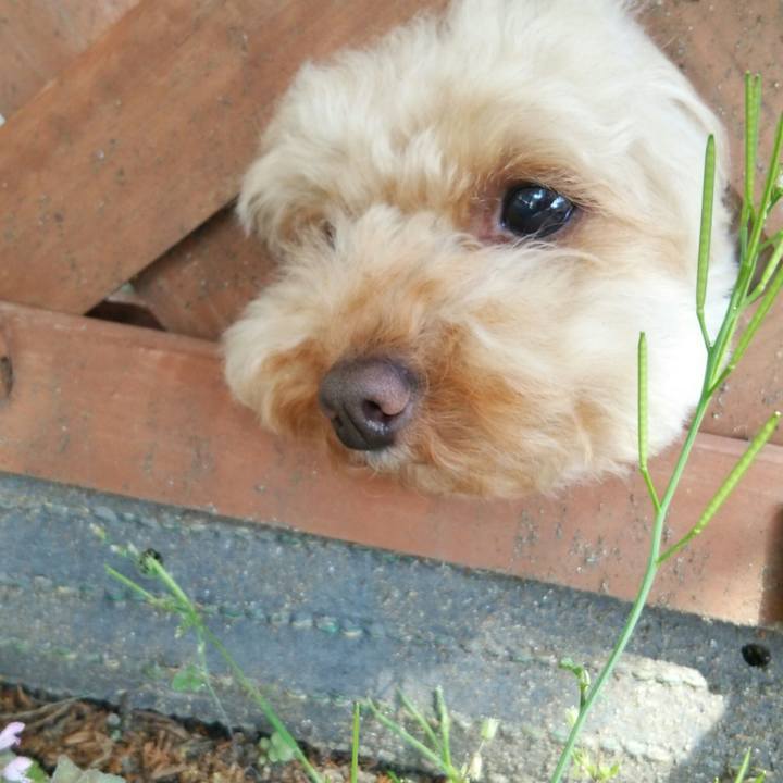 B37cd369 84bb 421e b60e 7675940029e7 1524142465501