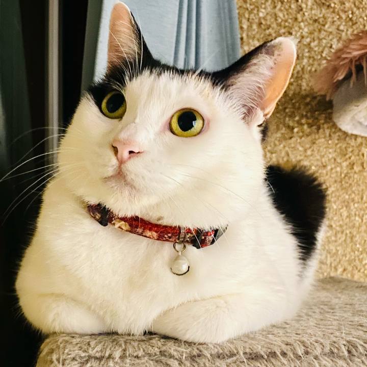 B37cfaaa 87b3 4ffa 8866 c4d80637d1b2 1688865280371