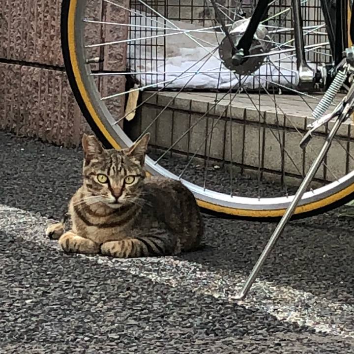 B37d2265 ebbc 4ab3 a6cf 8ba2fbe528ec 1528550906740