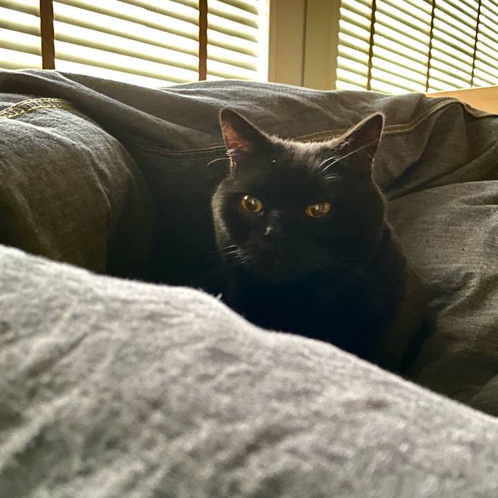 B37d23d1 6c3a 46a5 8ddd 4835a7348a8f 1711171432616