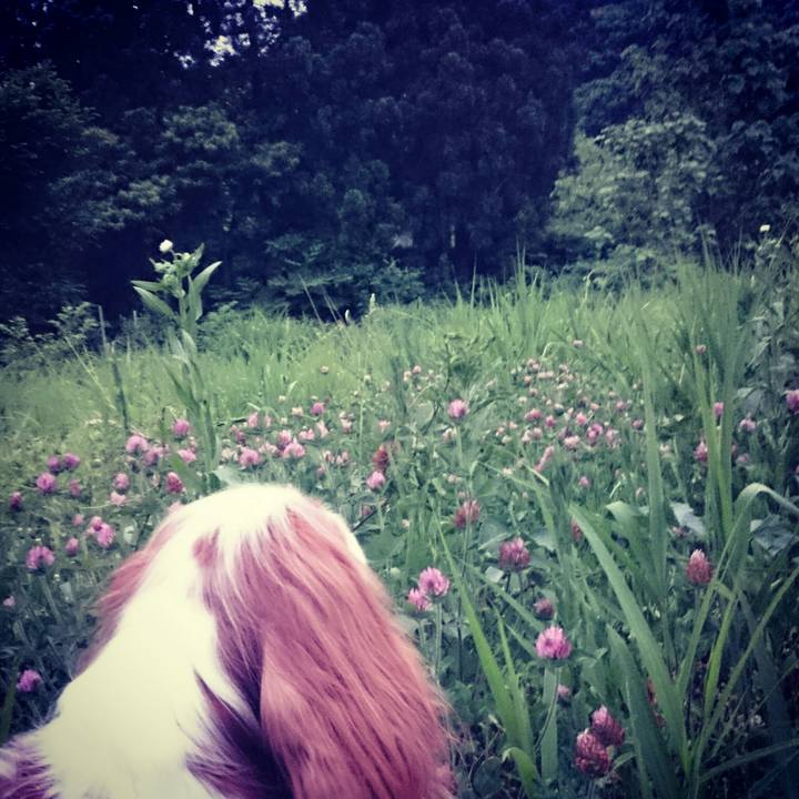 B37d57ee 0445 491f ba50 44989c74e6b1 1528194599027