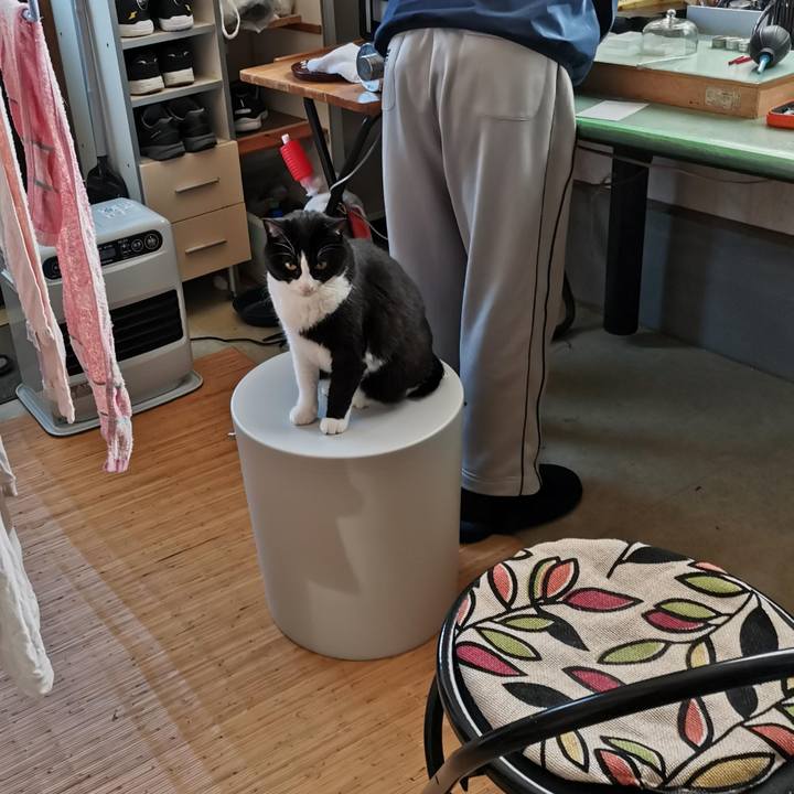 B37d6acb eaa8 4cad b59b 677a3244a1dc 1711337965441