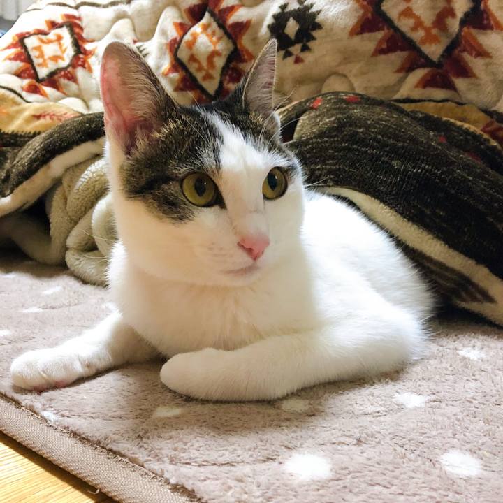 B37d7f52 69cd 4288 b1e2 e5a9337aa032 1587647651165