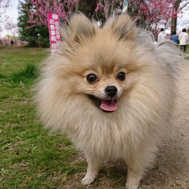 B37db551 736b 4a1e 9640 e7985f785fb2 1521900469670