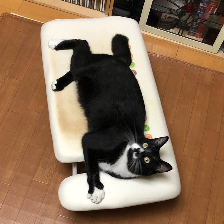 B37dfbb9 8e82 4361 b2d5 df21fb88d86c 1540894600439