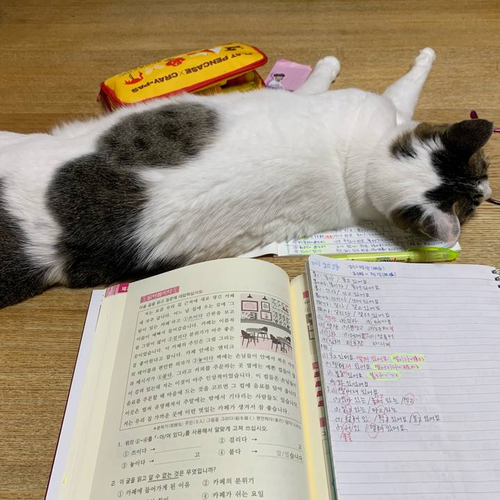 B37e013d a556 440c 90fd 302ac9b1bf82 1621029042540