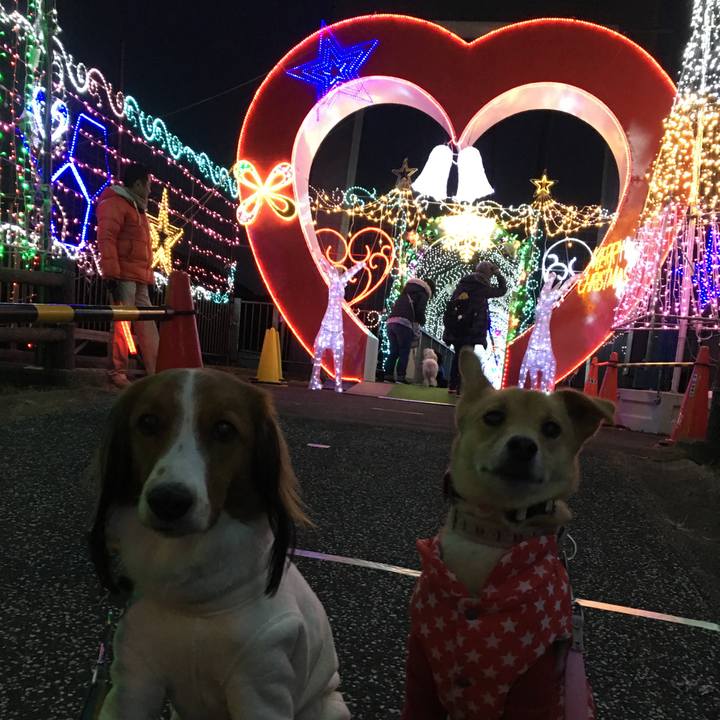 B37e1d72 6d89 4956 b8a3 33716ee37142 1512836944920