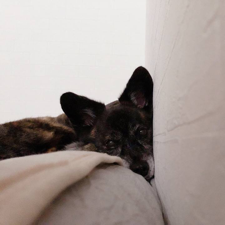 B37e3c6d 3b08 4b0c a185 8736cf426378 1631079851797