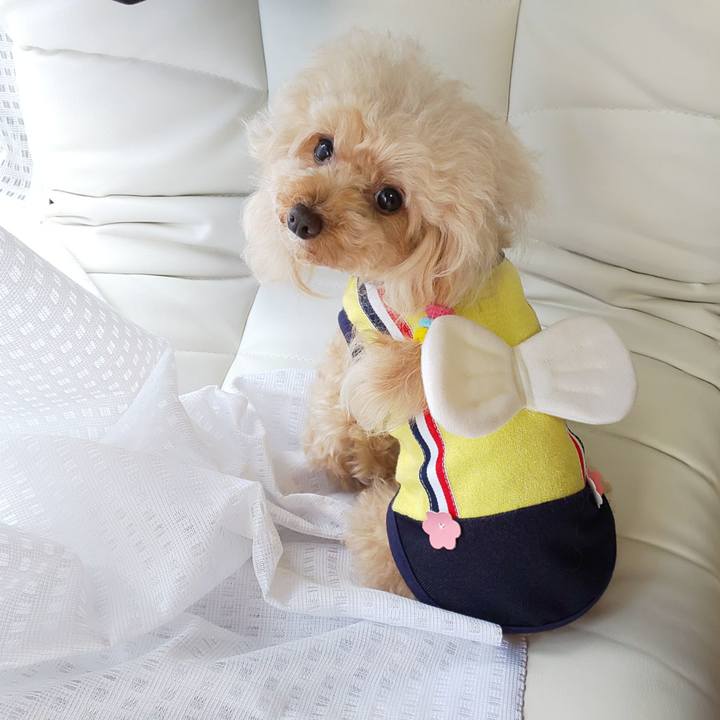 B37e400d 105c 456c 8b31 9c1918a8b785 1572698491381