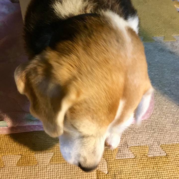 B37e783f 2d03 42fe b26c ebdd611b7bce 1537191668704