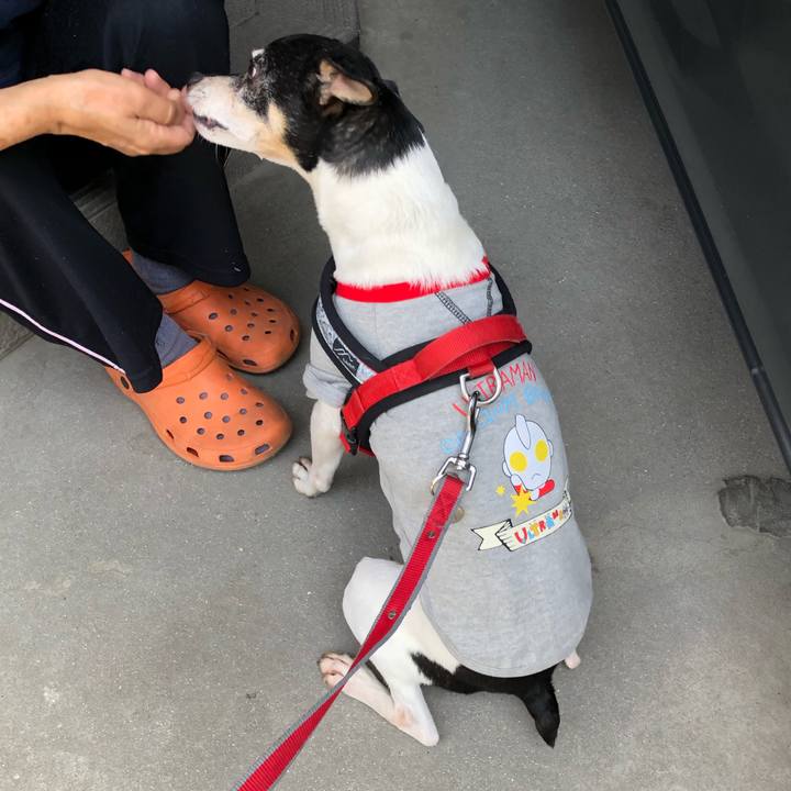 B37e7e80 6509 4bd3 b34c 90d3d2a8ea6a 1557111184059