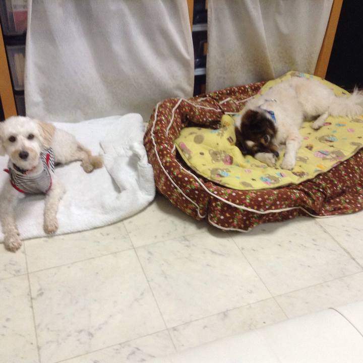 B37e8ce9 b538 4711 b388 a4b772891c5d 1523454020456