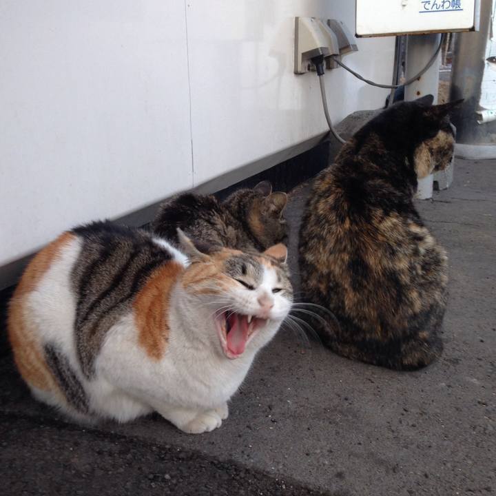 B37f0282 8762 456a a395 bb083f3fd8ec 1522400506088