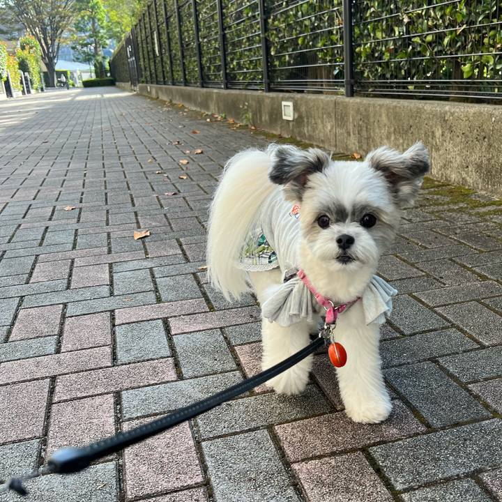 B37f070f 32cf 4bf3 a317 b79e8e14744e 1695769088511