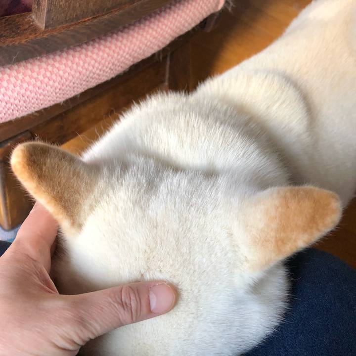 B37f165b a837 4398 b436 b3c63372d7b9 1575692425358