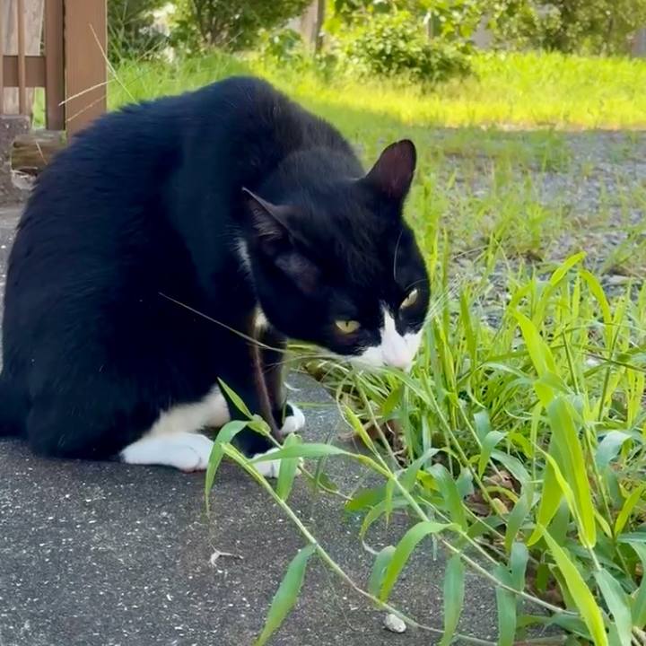 B37f23d1 b34a 438d 89ce a30f40d8b89c 1755330767215