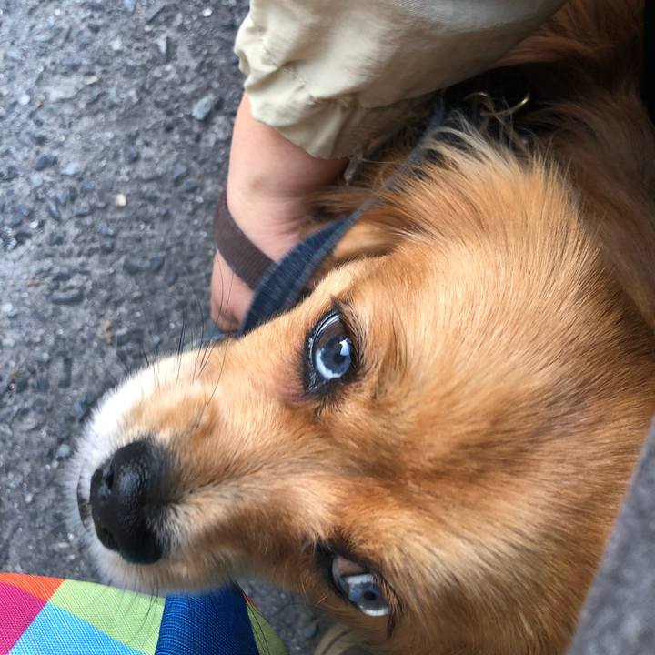 B37f23d5 5611 4cc8 864a 6af5635d6a46 1526335608463