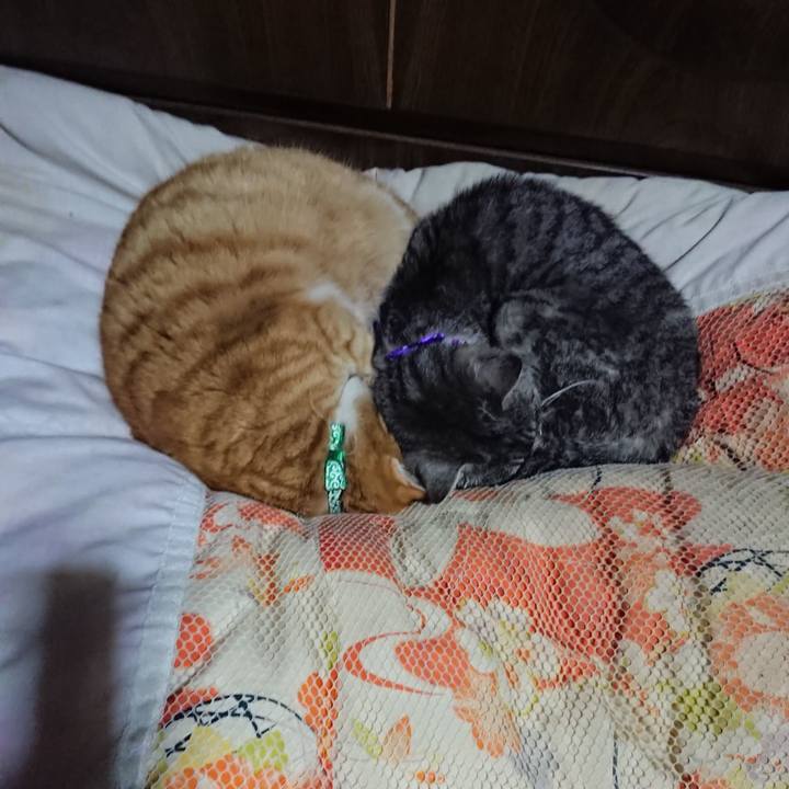 B37f2dfa 404f 430f 8050 30e9065702fd 1580993892490