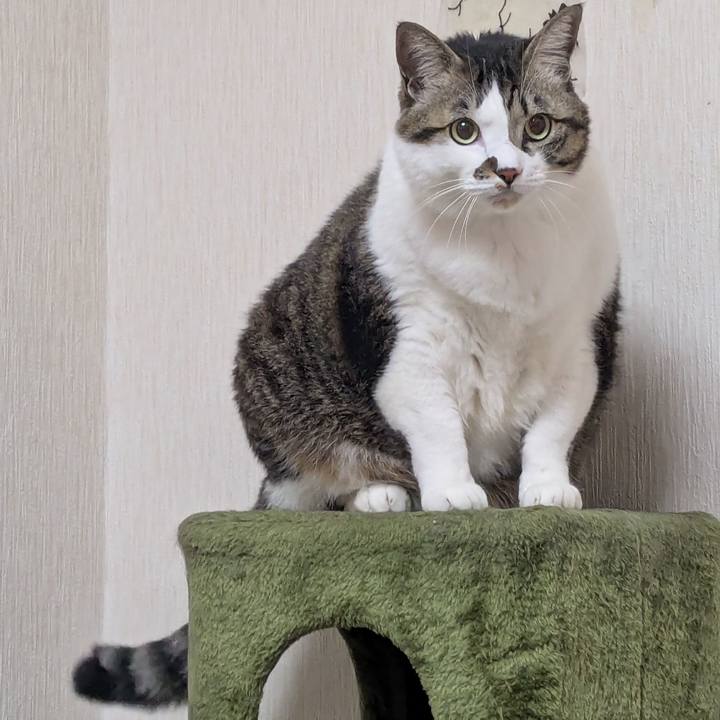 B37f6308 69d5 4254 9c02 5878f3f2d16a 1739308542058