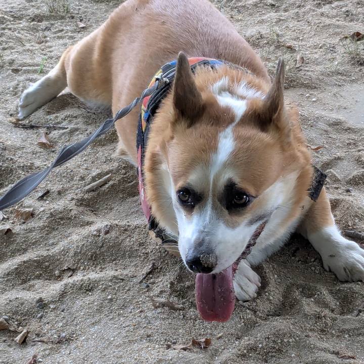 B37f72b5 1603 4594 b925 08a61a98bbb2 1754362394640