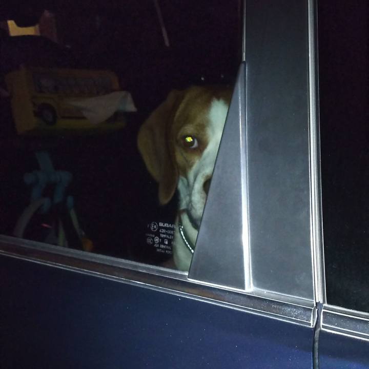 B37faf69 e453 4613 8ab0 51af9fb21997 1573296825242