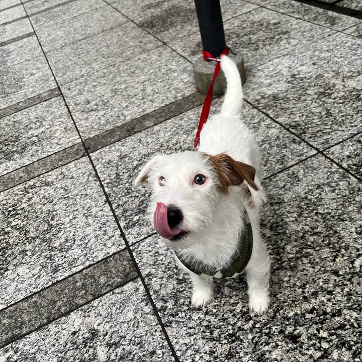 B37ffdad 8247 4c27 b905 b9c8a5dd9ef1 1762676517803