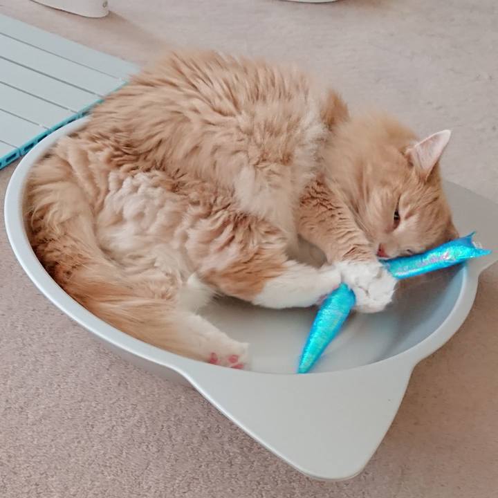 B3803510 d2c5 4fd7 bd6c 4d155f4ccb19 1532138882551