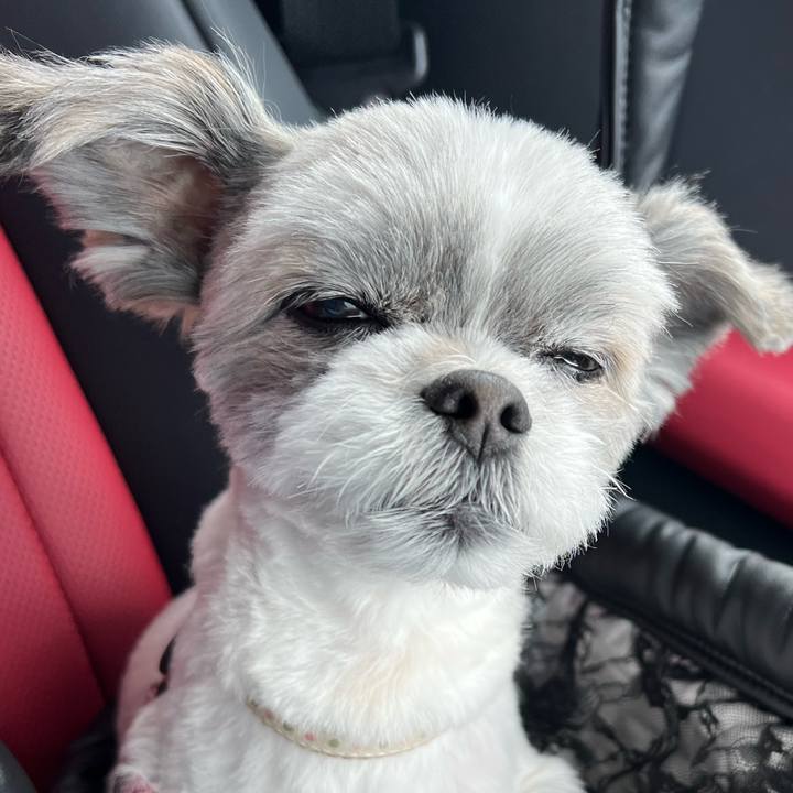 B3806d38 482c 41ba aea0 0a0c3ad90e80 1713844213766