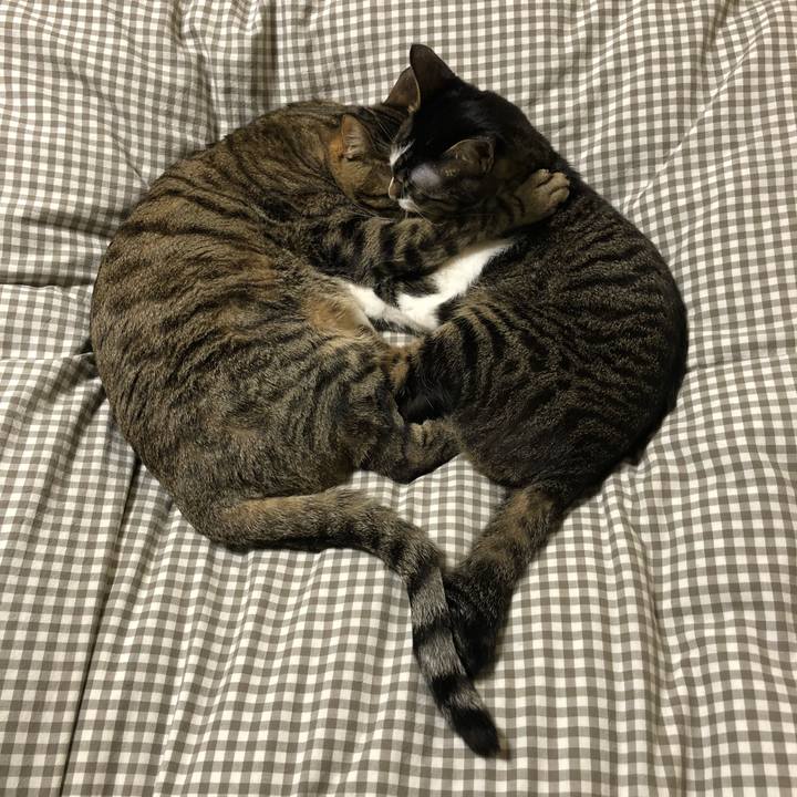 B38087b3 496f 4355 8d1b 91cb3283b0fc 1514893673009