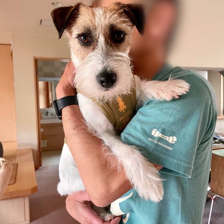 B380fab0 164e 4780 8046 e156b7c7846b 1650716713127