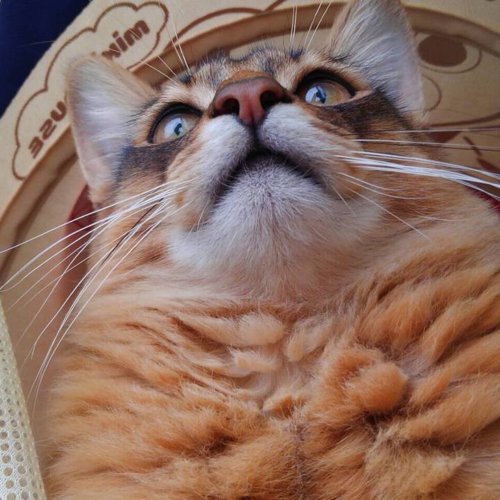 B38116bd 8f09 4ebf a22a 57716da94cbb 1585541052703