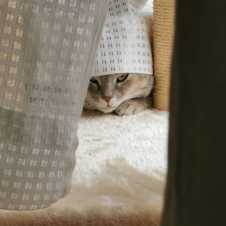 B3812273 8ccd 4a6d 90b2 ce3c7a4c7992 1630828518832