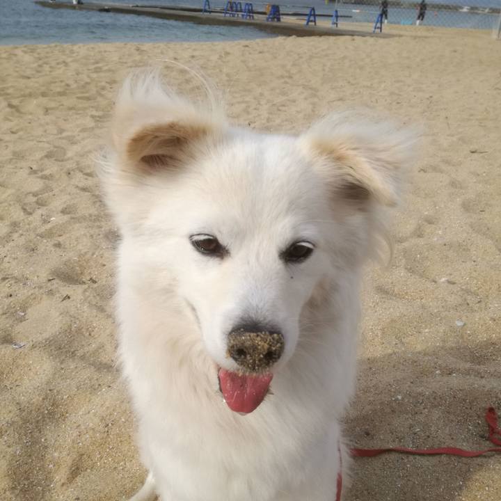 B38134f1 d05c 4986 9799 8a5c1939ab9d 1527566262859