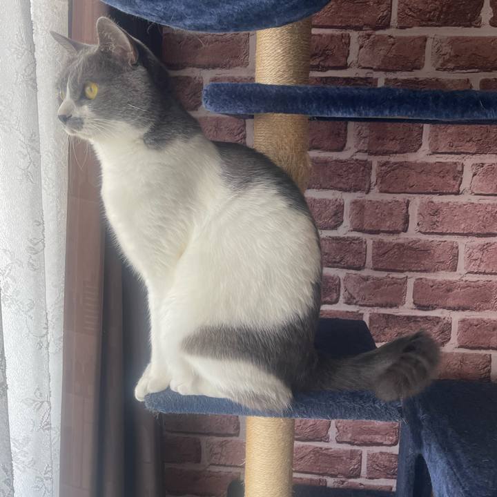 B3816192 a17e 46c7 9f27 aadf2a525a32 1654039296749