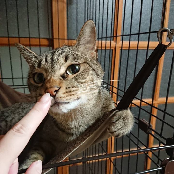 B381652a aab9 41db bb78 32d6befd8f9a 1560535272248