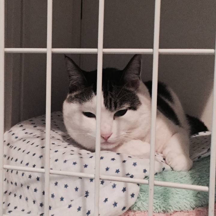 B381784e d158 45c7 bbb9 22302491c88f 1508250862803