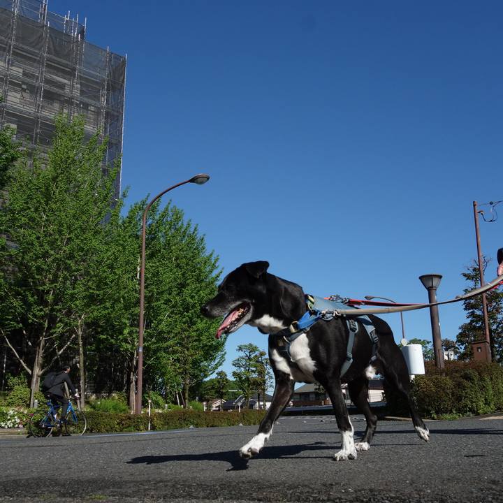 B3819b13 04b4 4ba6 b7e4 ceecb410f0e5 1714004231228