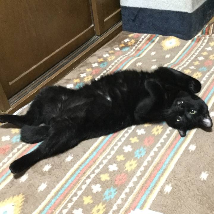 B381a1f8 90d4 464b b9a3 86b2dd3663d3 1564020085499