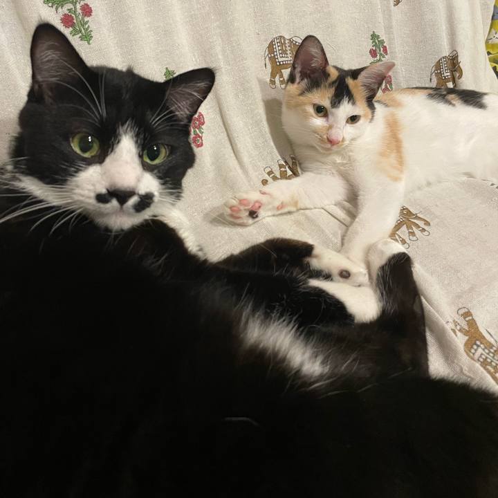 B381a79a 2539 4dcd ad09 3cf39fd9cac9 1665530410031