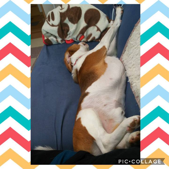 B381fd2b 69d9 4211 a75d 398eeadb3020 1630903259278