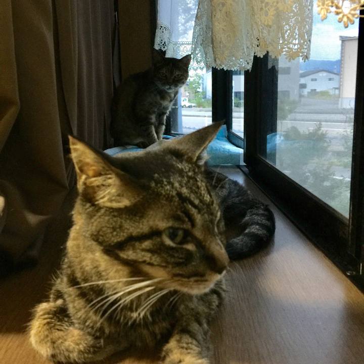 B3820ac8 f7c3 4eac a4bb 993e7c3451c9 1534761116057