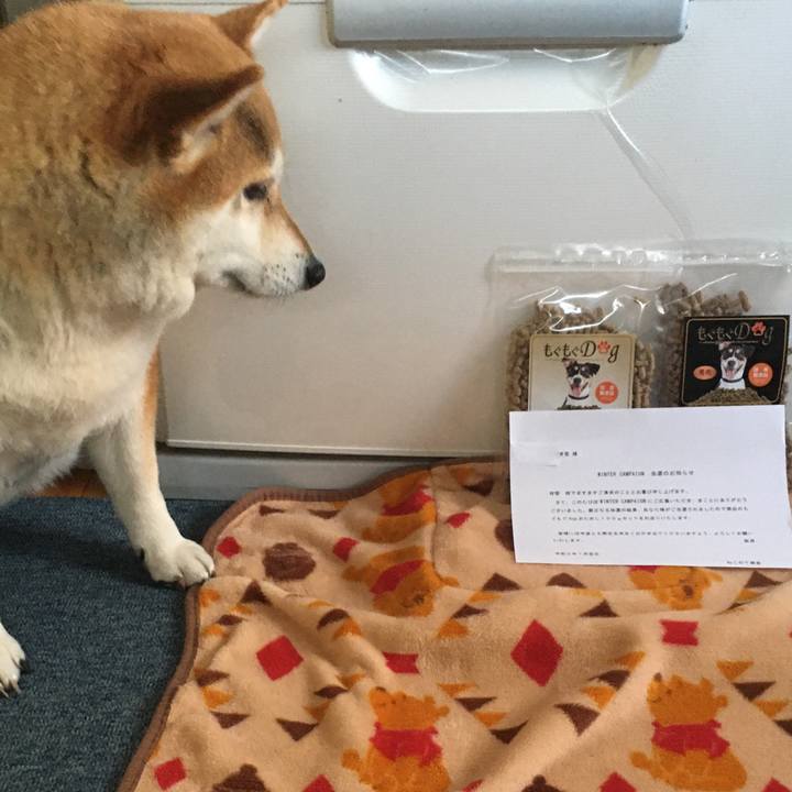 B3820fba af96 40a7 96e4 76f7ad9d8bf0 1609741463933