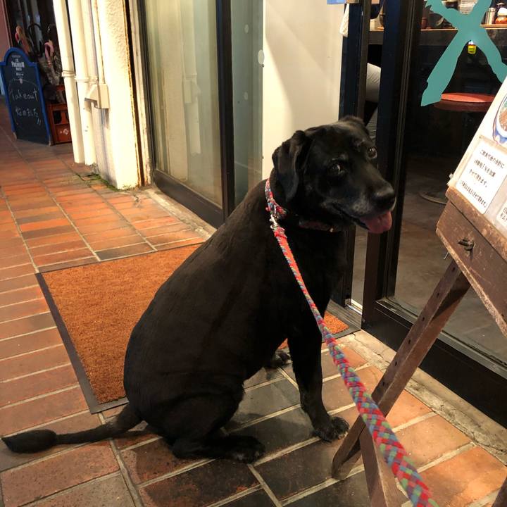 B382d230 3d17 4b09 8337 48c580634c59 1591103913373