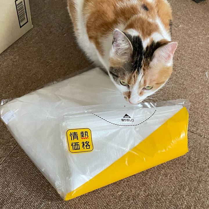 B3830926 272a 4c00 b7a5 585998115100 1621383606145