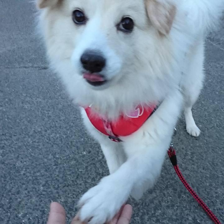 B3833550 e6d0 48f7 a147 10644c166cf4 1518753094110