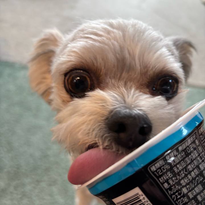 B383827c 0735 445d 8338 ba736f6c39f6 1767686909529