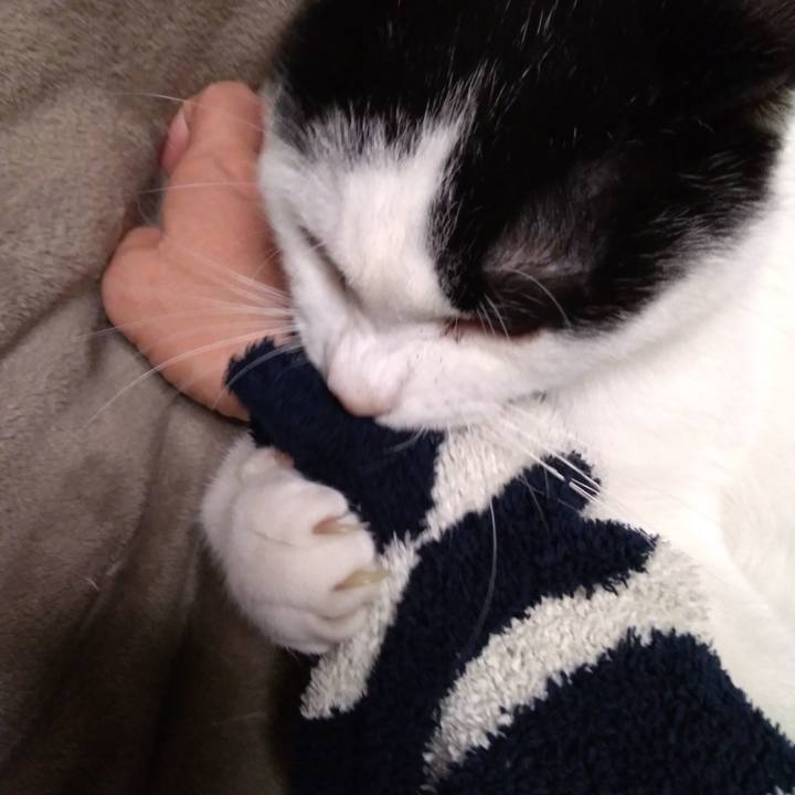 B383a03b 4a6d 4296 9d4a bdca925a7e6f 1554382377504