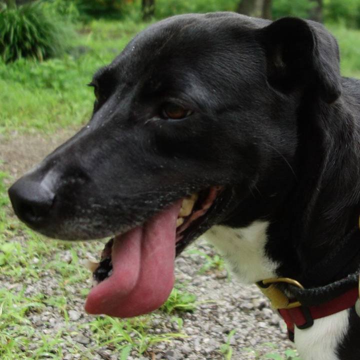 B383c462 56d7 42e3 8d14 8f3aee6cb7a1 1625442241372