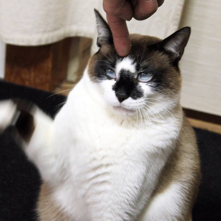 B3841998 8bb6 4aa3 a3b5 daaca1c0f22b 1538695851146