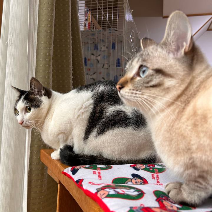 B38457b5 c71f 44be 93ef 8d9e9fdbc419 1742077067065